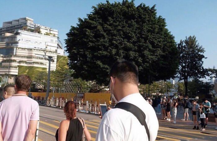 Instagram Account With Over 574 Thousand Followers Features Amusing Street Photos (30 New Pics)