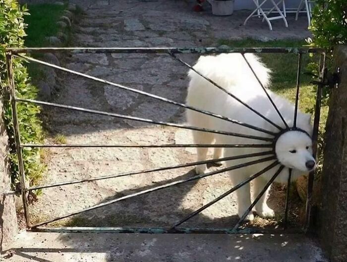 Instagram Account With Over 574 Thousand Followers Features Amusing Street Photos (30 New Pics)