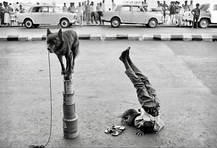 Instagram Account With Over 574 Thousand Followers Features Amusing Street Photos (30 New Pics)