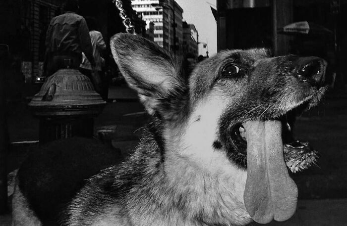 Instagram Account Collects And Shares Pictures That Capture Chance Encounters In Public Places (50 New Pics)