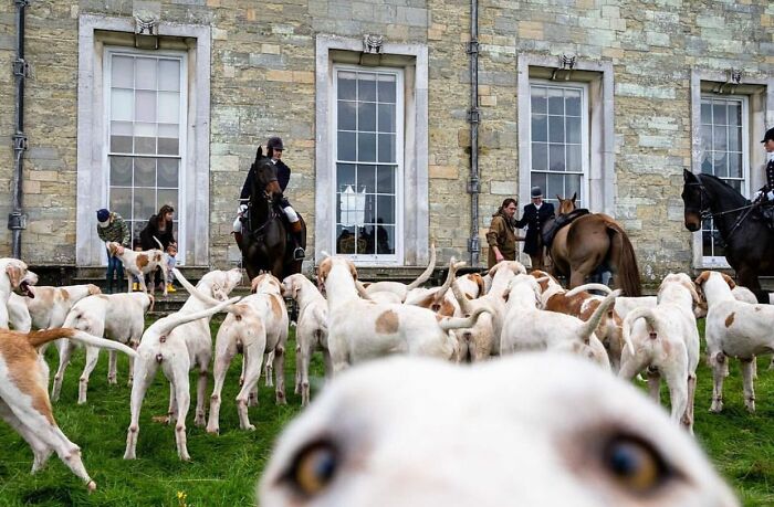 Instagram Account With Over 574 Thousand Followers Features Amusing Street Photos (30 New Pics)