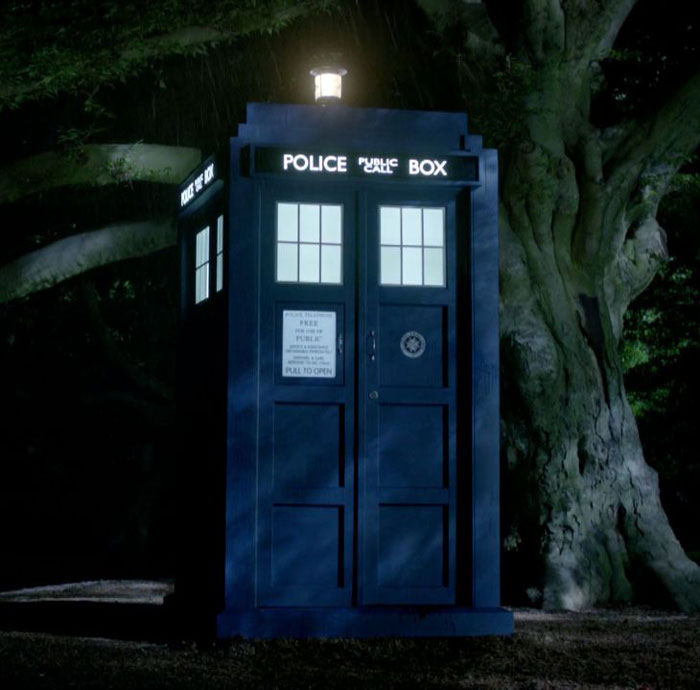 a blue tardis standing near the tree