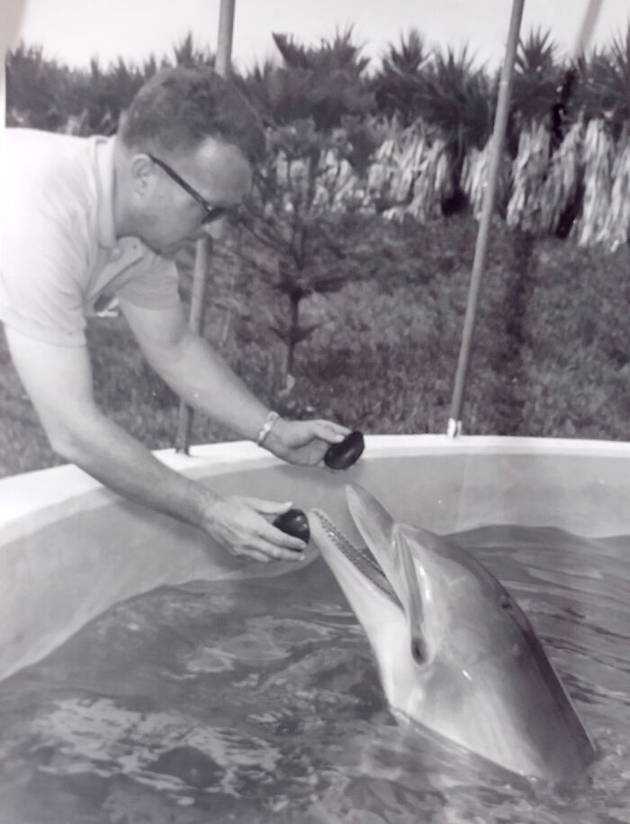 I Gathered Photos Showcasing Historic Marine Studios, Marineland Of Florida I Gathered Photos Showcasing Historic Marine Studios, Marineland Of Florida