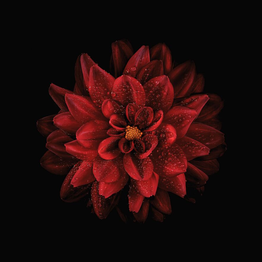 After Raining... - Adam Neuba