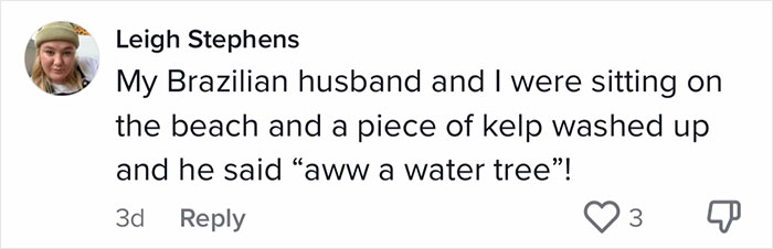 English-Second-Language-Hilarious-Mistranslations