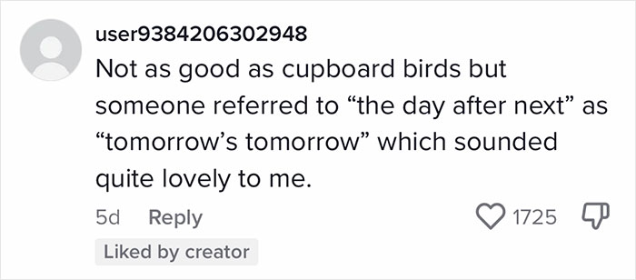 English-Second-Language-Hilarious-Mistranslations