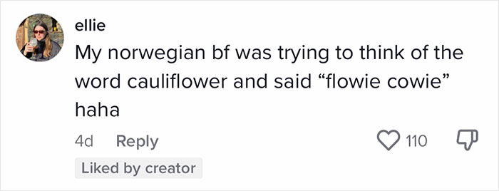 English-Second-Language-Hilarious-Mistranslations