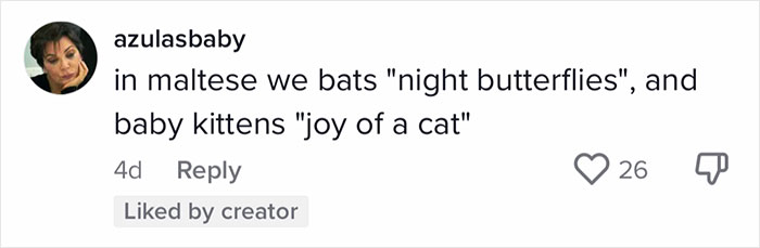 English-Second-Language-Hilarious-Mistranslations