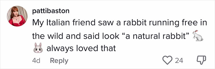 English-Second-Language-Hilarious-Mistranslations