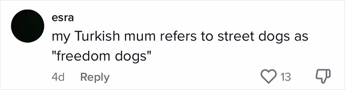 English-Second-Language-Hilarious-Mistranslations