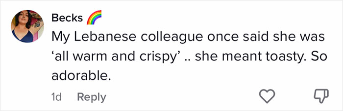 English-Second-Language-Hilarious-Mistranslations