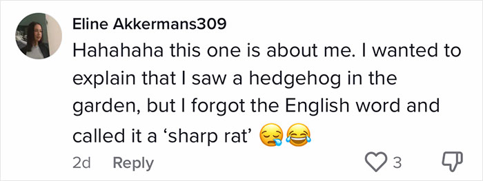 English-Second-Language-Hilarious-Mistranslations