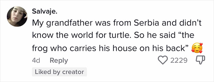 English-Second-Language-Hilarious-Mistranslations