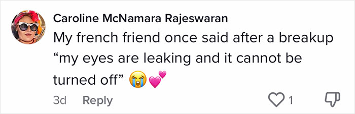 English-Second-Language-Hilarious-Mistranslations