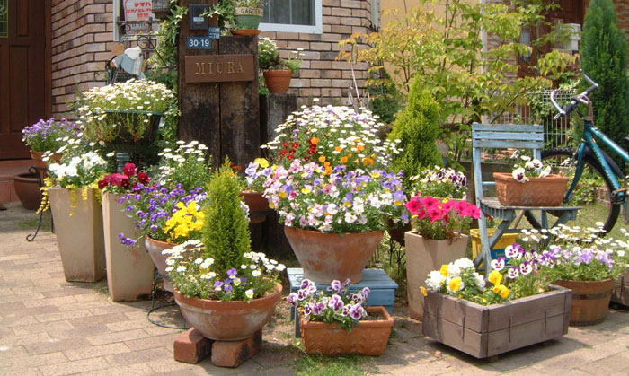 “Karen’s Face Turned From Red To White”: Woman Takes Plants From A Shop, Spots Police Car And Disappears From The Store Within Seconds