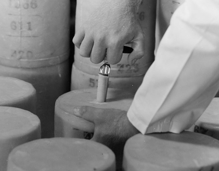 These 45 Mind-Boggling Facts Seem Unreal But Are Totally True