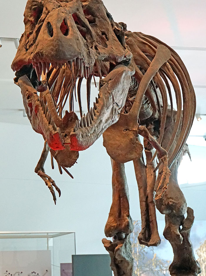 These 45 Mind-Boggling Facts Seem Unreal But Are Totally True