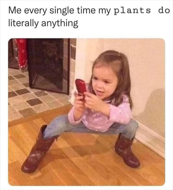 Female-Memes-Page-Facebook