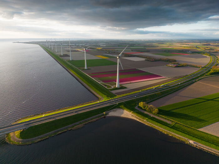 Spectacular Photos From This Year's Tulip Season In The Netherlands