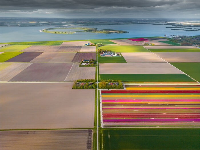 Spectacular Photos From This Year's Tulip Season In The Netherlands
