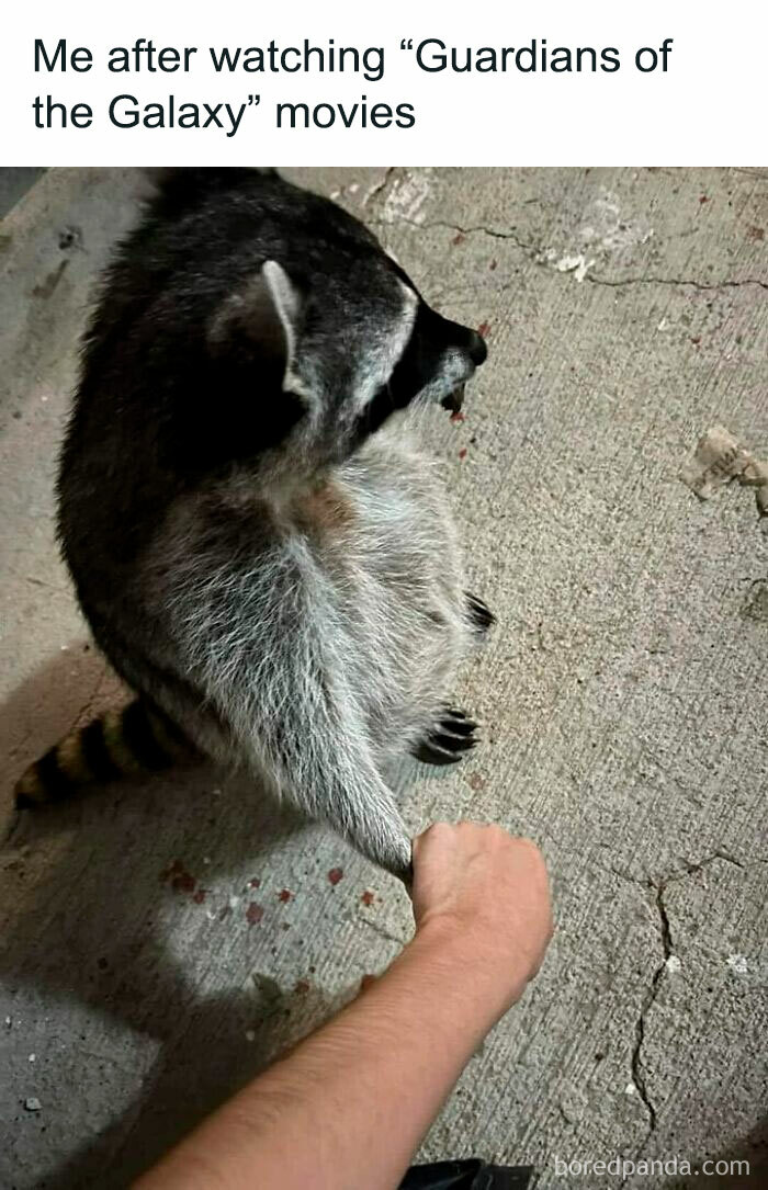 Me After Watching "Guardians Of The Galaxy" Movies