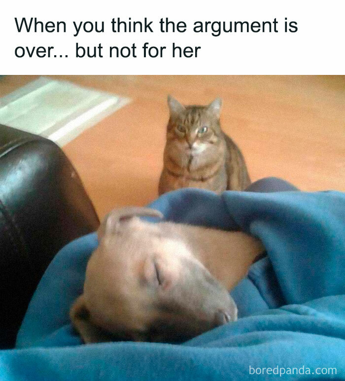 When You Think The Argument Is Over... But Not For Her