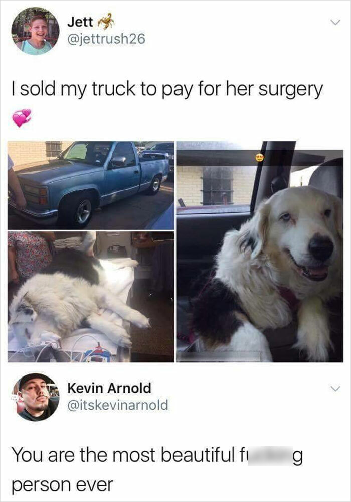 Funny-Animal-Meme-Posting