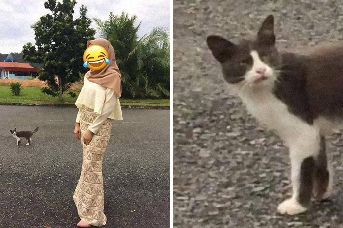 Why Are You Looking At Me Like That?