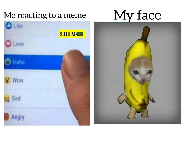 Funny-Animal-Meme-Posting