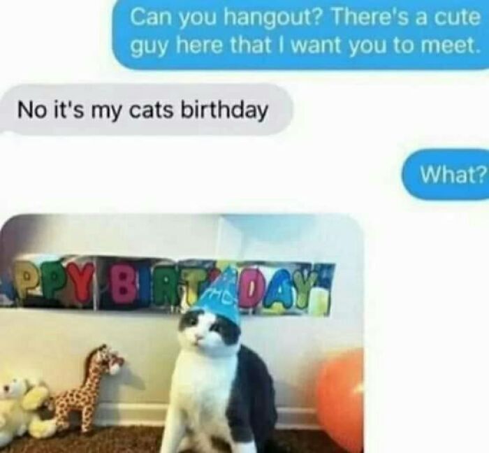 Funny-Animal-Meme-Posting