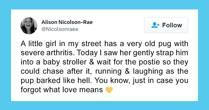 50 Hilarious Memes That Combine The Internet’s Two Most Favorite Things – Animals And Humor