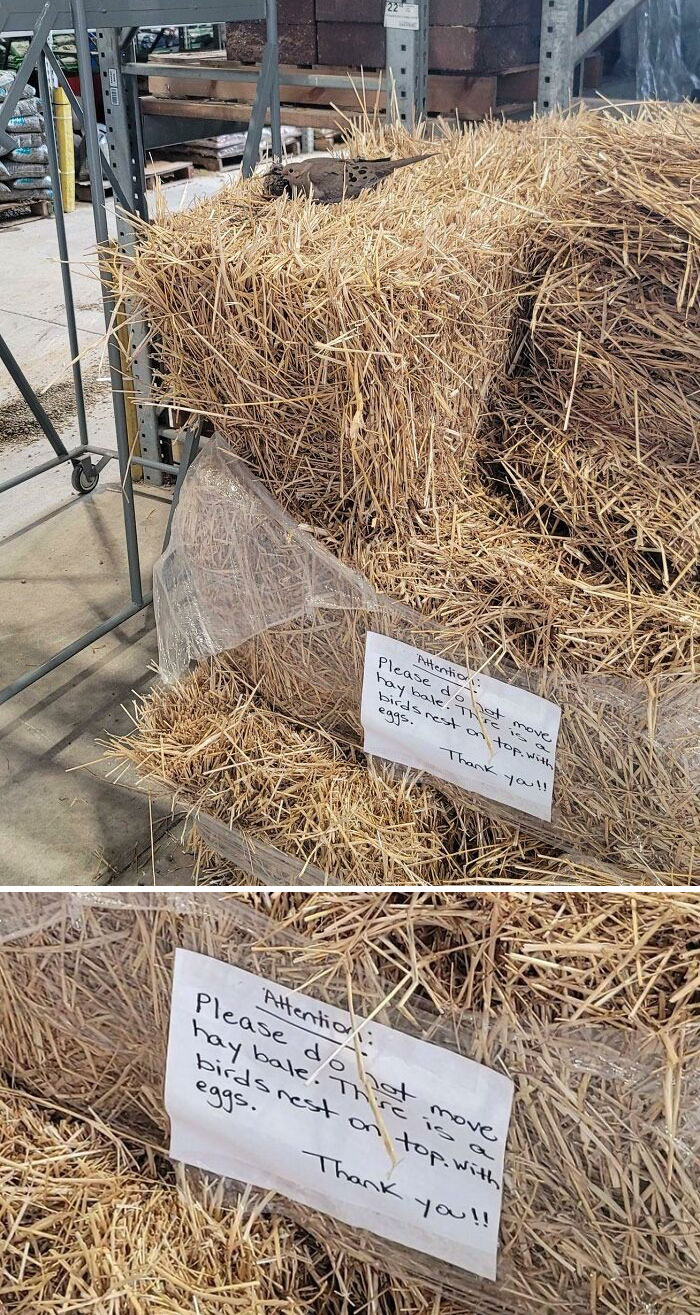 Found At My Local Lowes