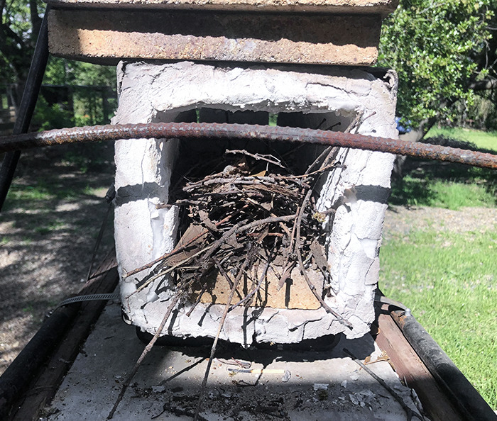 A Bird Built A Nest Inside My Forge