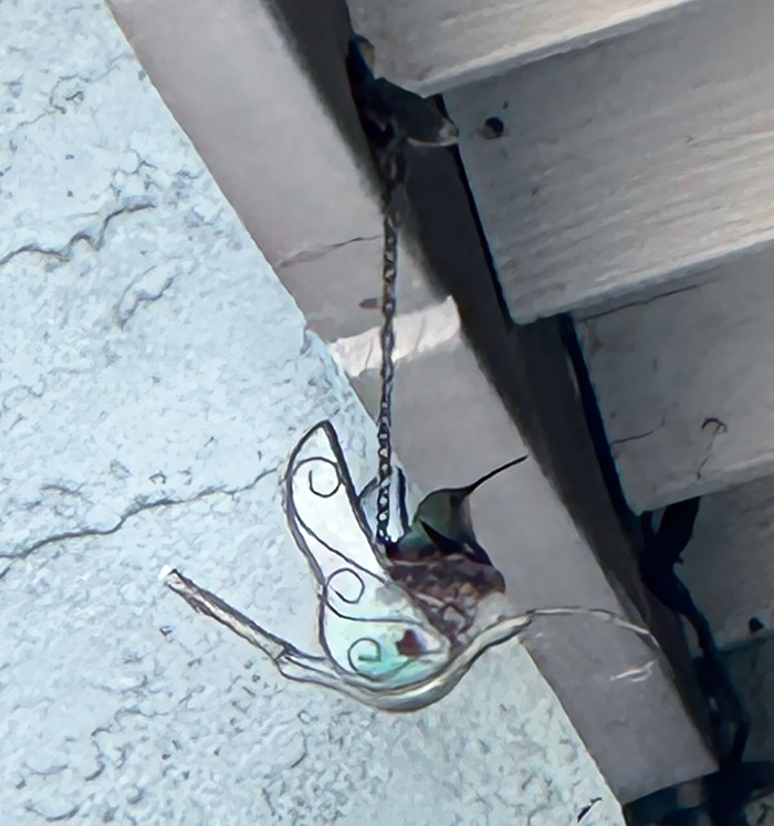 Un colibrí construyó su nido en mi figura colgante de un colibrí