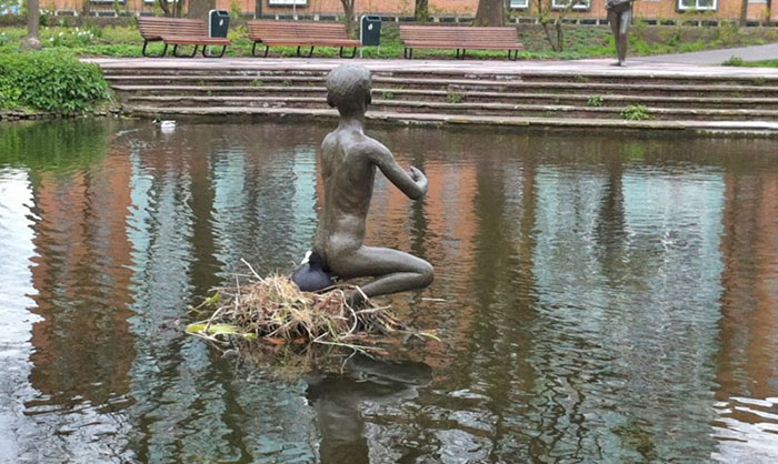 Voy a hacer un nido aquí mismo