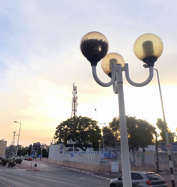 There’s A Bird Nest Inside The Street Light