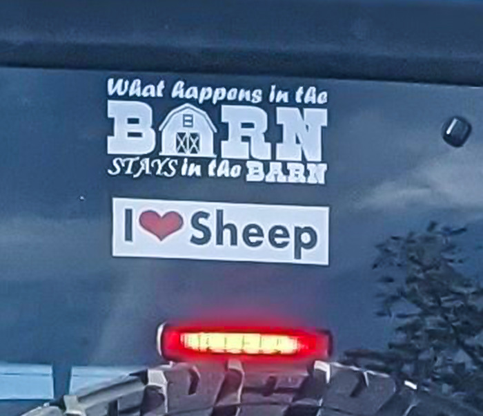 What Did I Just See?