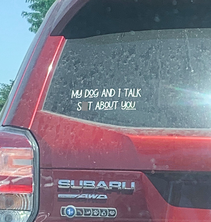 The Only Bumper Sticker I Approve Of