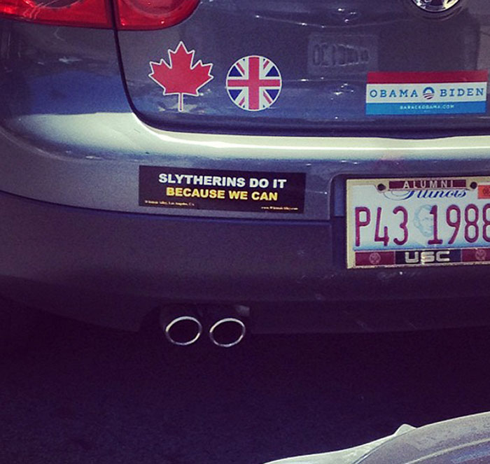 Damn Straight. Best Bumper Sticker Ever