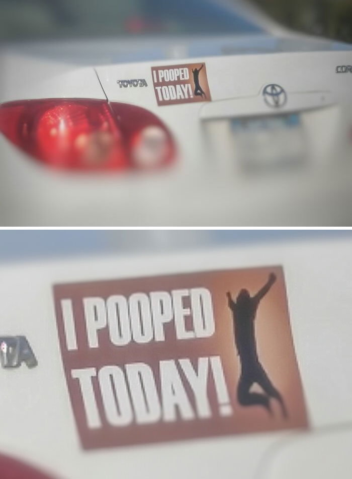 New Favorite Bumper Sticker