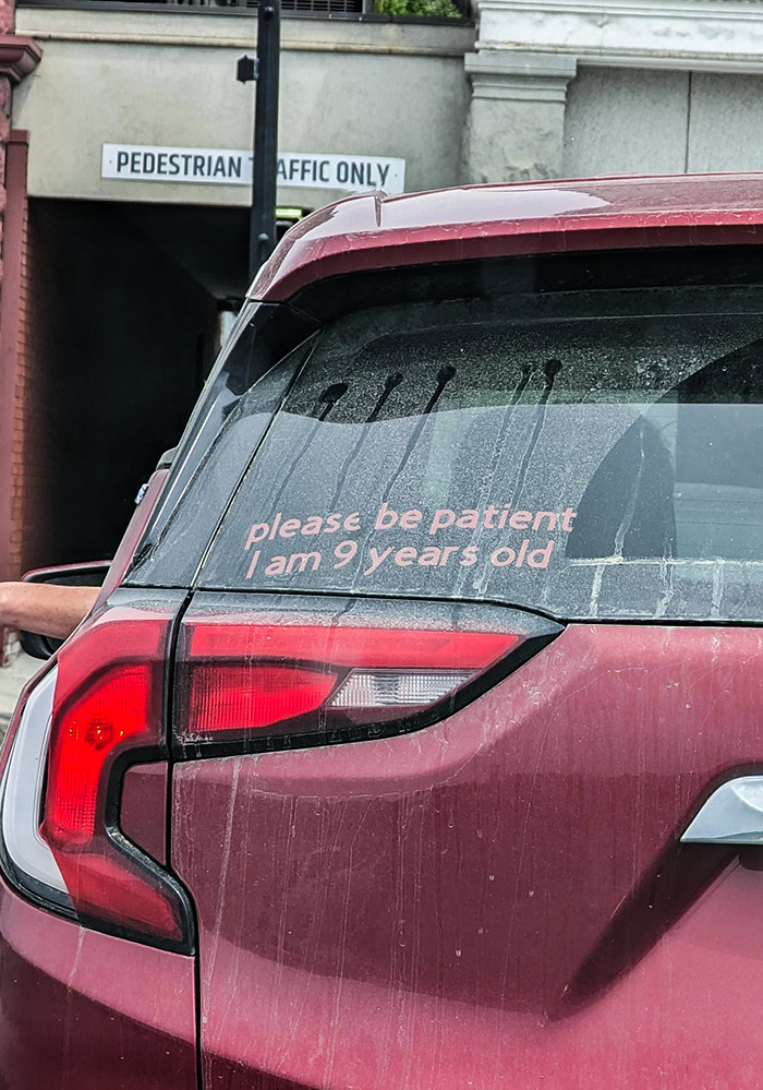 Calming Bumper Sticker