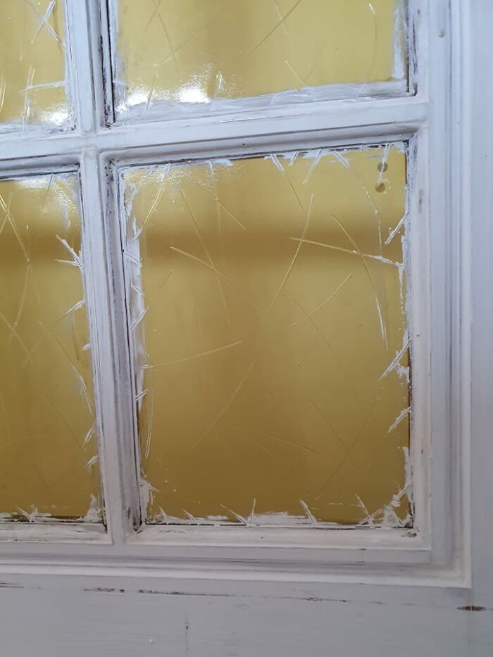 Funny-Construction-Fails-Pics