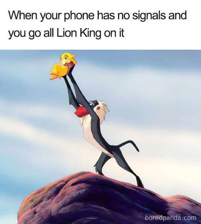 "Disney meme featuring a scene from The Lion King with humorous text about phone signal issues."