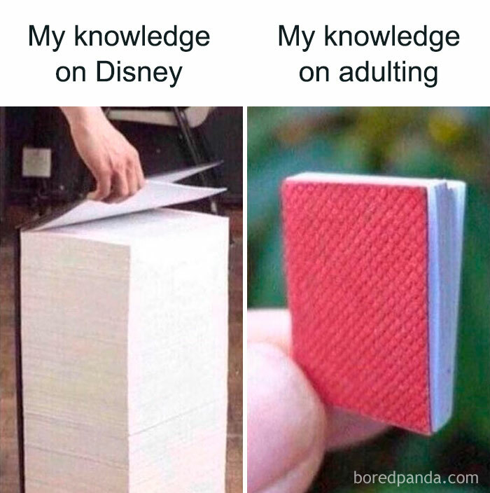 Funny-Disney-Memes-Jokes