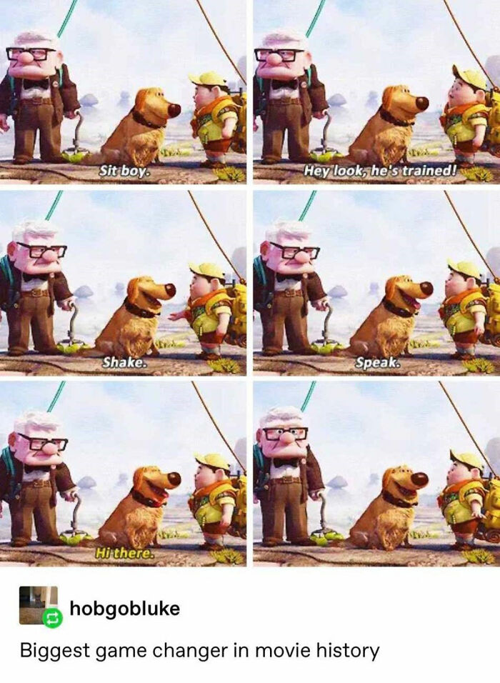 Disney meme featuring characters from the movie "Up" with humorous dog training captions.
