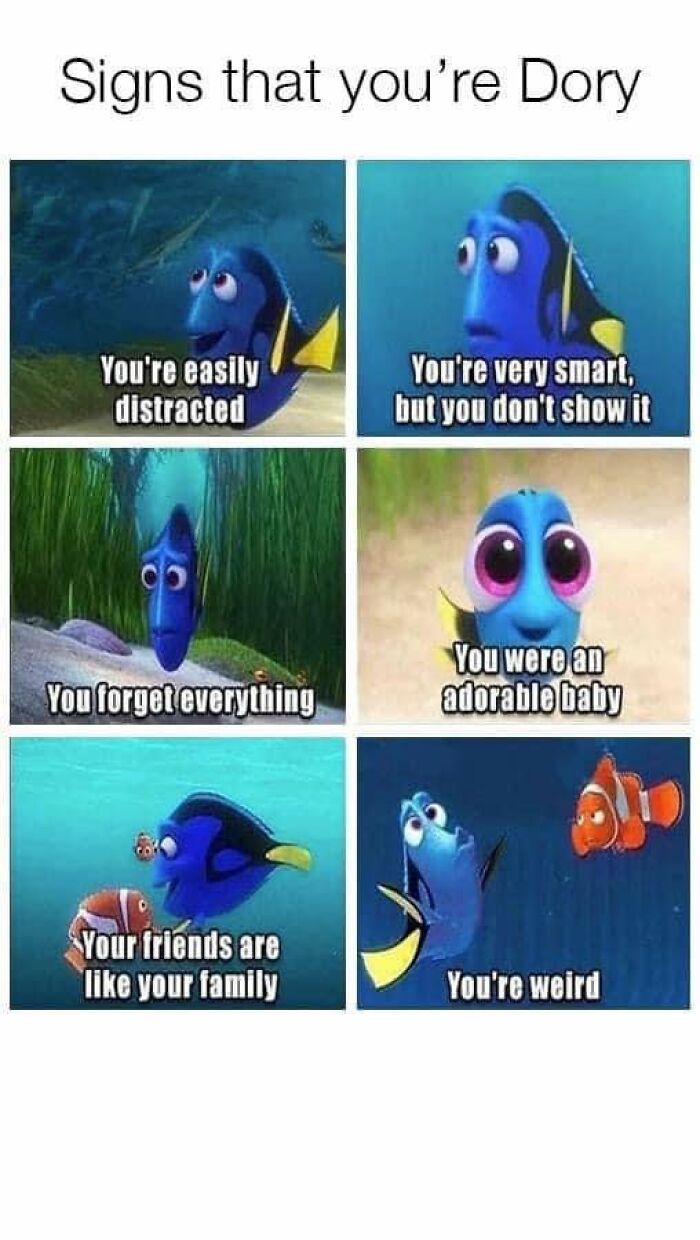 Funny-Disney-Memes-Jokes