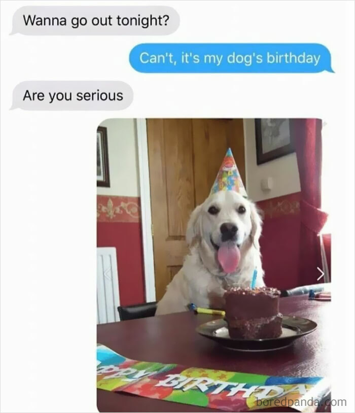 Funny-Dog-Memes-Pics