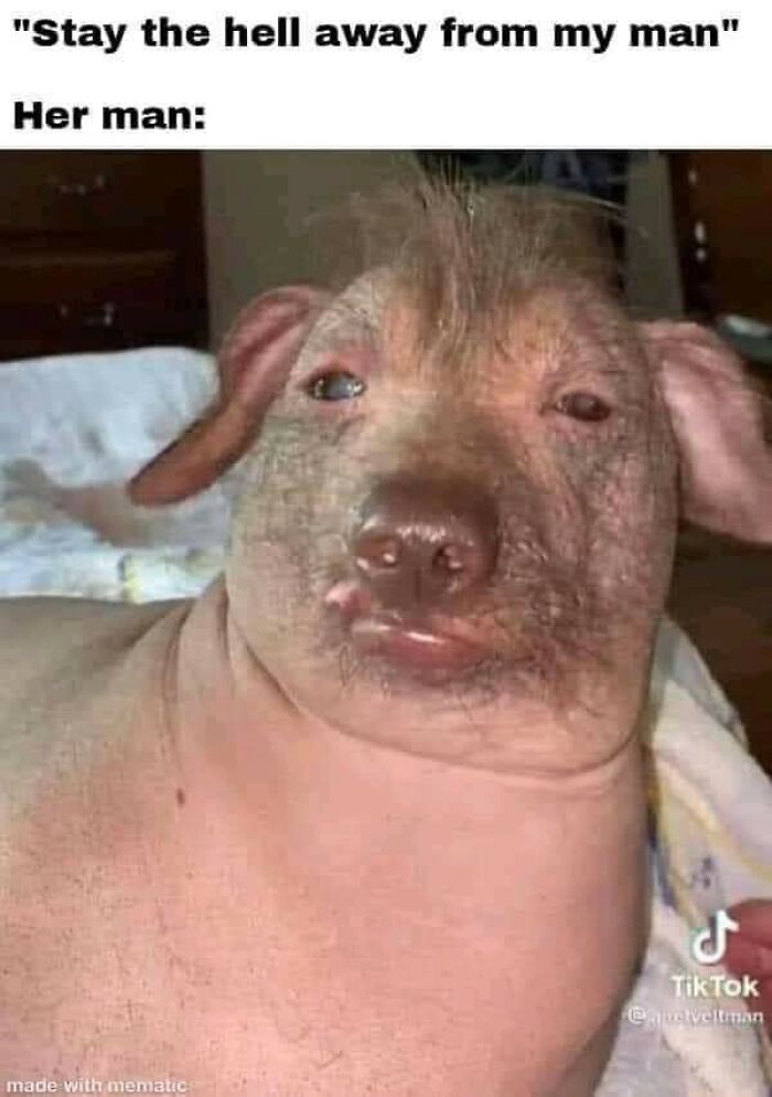 Funny-Dog-Memes-Pics