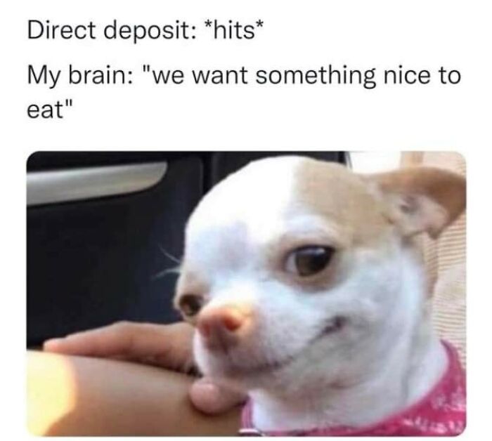 Funny-Dog-Memes-Pics