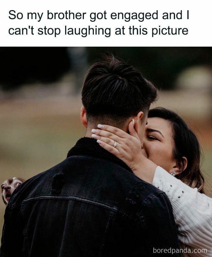 Funny-Dog-Memes-Pics